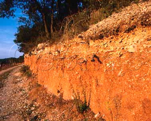 Mas de Daumas Gassac  cross section of the unique   red soil which makes this propertys wine so great   Aniane Herault France