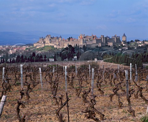 La Cit the old city of Carcassonne viewed over vineyards in early spring Aude France AC Malepre