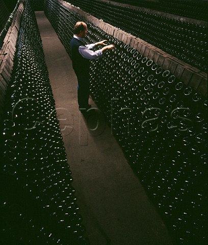 Performing the remuage on bottles of Cremant de Limoux in the cellars of Sieur dArques Limoux Aude France