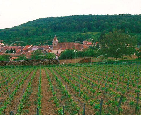 Vineyard and village of Lucey near Toul Lorraine   France   VDQS Ctes de Toul