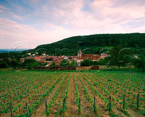 Vineyard and village of Lucey near Toul Lorraine   France VDQS Ctes de Toul