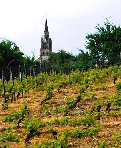Vineyard and church at Bruley near Toul France    VDQS Cotes de Toul