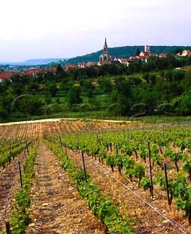 Village of Bruley viewed over vineyard Near Toul   Lorraine France VDQS Cotes de Toul