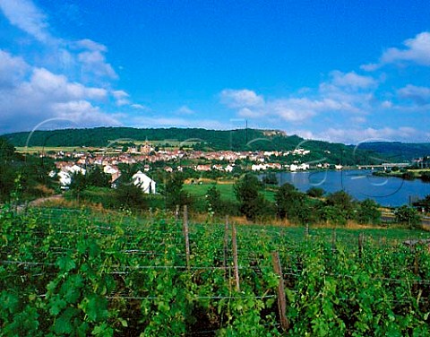 Vineyards by the Moselle River at ContzlesBains   Moselle France VDQS Vins de Moselle