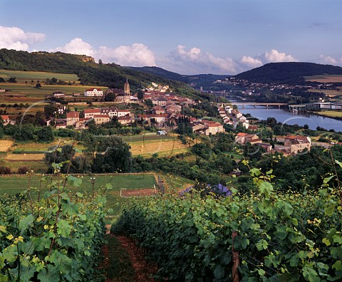 Vineyard above the Moselle River at ContzlesBains Moselle France   Vins de Moselle