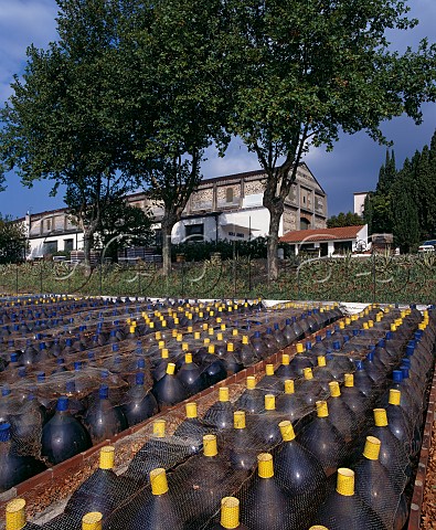 Some of glass bonbonnes each holding 70 litres in which the wine is placed for its 1st year Mas Amiel Maury PyrnesOrientales France   AC Maury