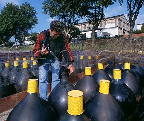 Glass bonbonnes of Mas Amiel each holding 70 litres in which the wine is placed for its 1st year The regisseur checks the wines progress every 3 months  Maury PyrnesOrientales France  Maury