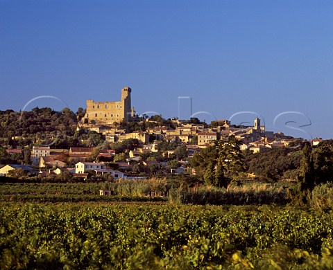 Vineyards below the town and ruined papal chateau of   ChateauneufduPape Vaucluse France