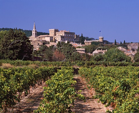 Vineyard at Rochegude Drme France   Ctes du RhoneVillages