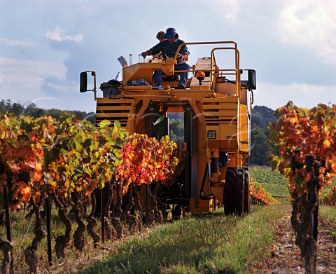 Machine harvesting grapes in vineyard at Valras Vaucluse France Ctes du RhneVillages