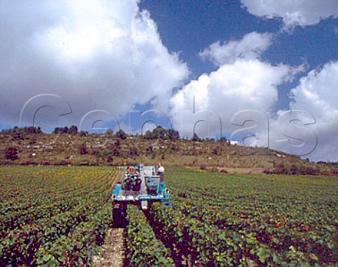 Machine harvesting of Pinot Noir grapes at   AuxeyDuresses Cote dOr France Cote de Beaune