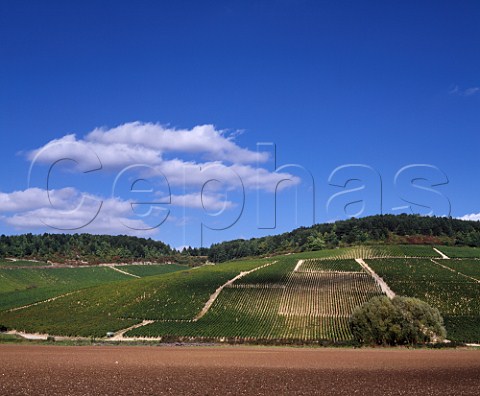 Les Clos with part of Valmur top left two of the   Grand Cru vineyards of Chablis Yonne France   Chablis Grand Cru
