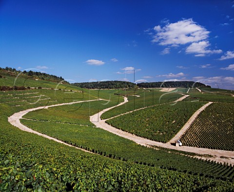 Looking southeast along the slope of the Grand Cru vineyards of Chablis Vaudsir is in foreground and left Grenouilles is centre right with Valmur and Les Clos beyond Yonne France