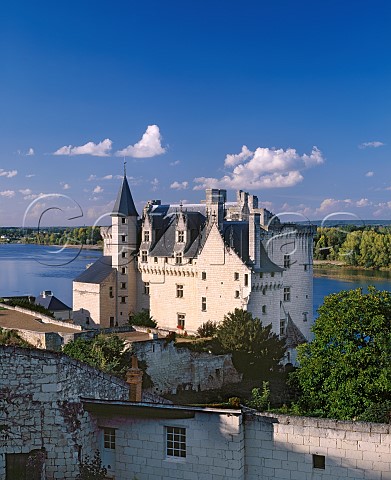 Montsoreau Chteau and the River Loire near Saumur MaineetLoire France   