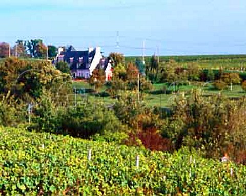 Clos Baudoin foreground at Vouvray IndreetLoire France AC Vouvray