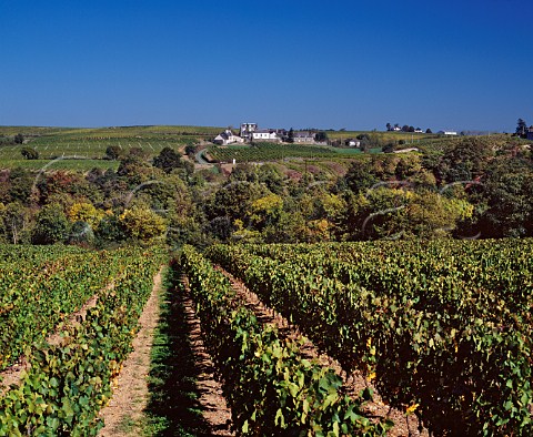 View from vineyard at StAubindeLuign across the Layon Valley to the hamlet of Chaume MaineetLoire France  Quarts de Chaume  Coteaux du Layon