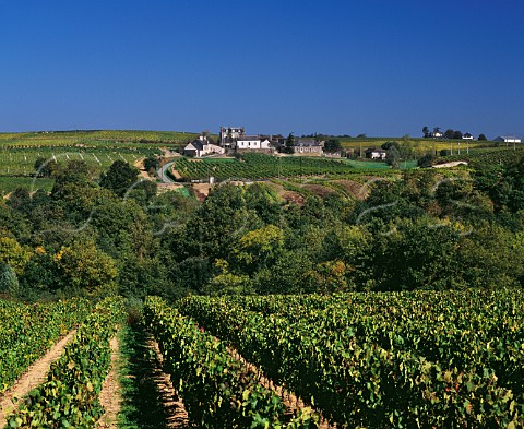 View from vineyard at StAubindeLuigne across the Layon Valley to the hamlet of Chaume the vineyards around which make up the tiny Quarts de Chaume appellation   MaineetLoire France