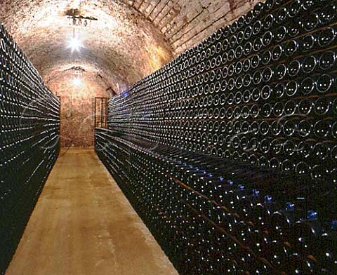 Bottles of champagne lying sur lattes in the   cellars of Champagne Vilmart RillylaMontagne   Marne France