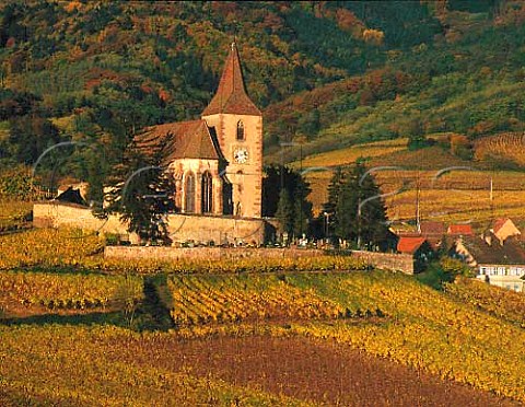 The 15thcentury fortified church of Hunawihr with   beyond the Grand Cru Rosacker vineyard  HautRhin France  Alsace