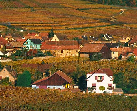 The village of Hunawihr with beyond the Grand Cru   Rosacker vineyard  HautRhin France Alsace