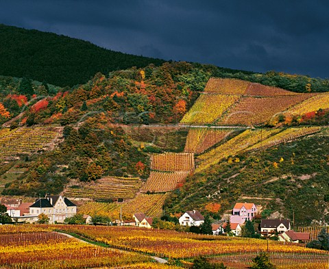 Niedermorschwihr village below the Sommerberg vineyard HautRhin France Alsace Grand Cru