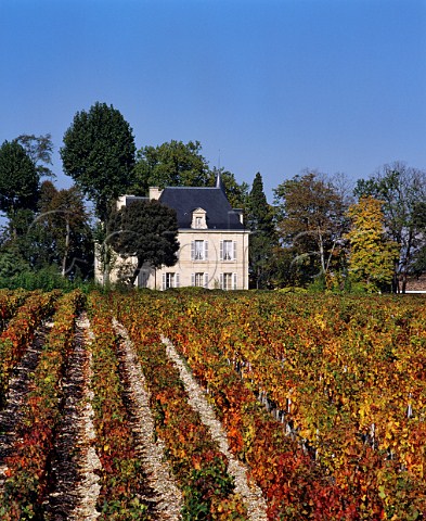 Chteau PichonLonguevilleComtessedeLalande viewed over vineyard of Chteau Latour  Pauillac Gironde France Mdoc  Bordeaux