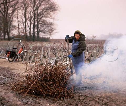 Burning Cabernet Sauvignon prunings on a frosty   morning in early January Chateau LeovilleBarton   StJulien Gironde France Mdoc  Bordeaux