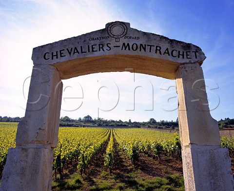 Stone gateway of Domaine Jean Chartron in the wall of ChevaliersMontrachet vineyard PulignyMontrachet Cte dOr France Cte de Beaune