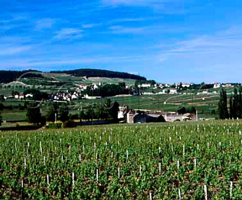 View from les Fosses vineyard in AuxeyDuresses   over Domaine du Moulin aux Moines to the village of   Monthelie Cte dOr France  Cte de Beaune
