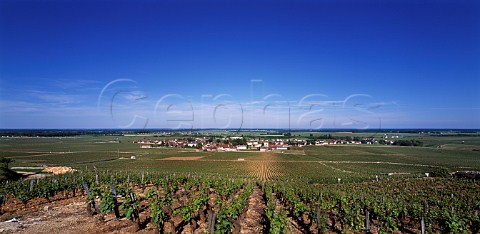VosneRomane viewed from la Tche vineyard   Cte dOr France   Cte de Nuits