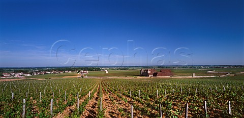 The walled Clos de Vougeot vineyard with its chateau and Vougeot village viewed over Les Petits Musigny vineyard Cte dOr France Cte de Nuits Grand Cru