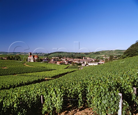 Village of Fuiss surrounded by its vineyards     SaneetLoire France   PouillyFuiss  Mconnais