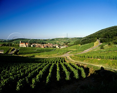 Village of Fuiss surrounded by its vineyards      SaneetLoire France   PouillyFuiss  Mconnais