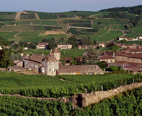 Chteau Fuiss and the wall of its Le Clos  vineyard Fuiss SaneetLoire France   PouillyFuiss  Mconnais