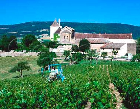 Hedging of vines removing excess foliage in early   summer by the Chapelle des Moines BerzlaVille   SaneetLoire France  Mconnais