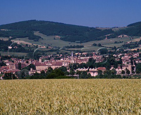 Cluny and its abbey viewed over barley field SaneetLoire France Burgundy