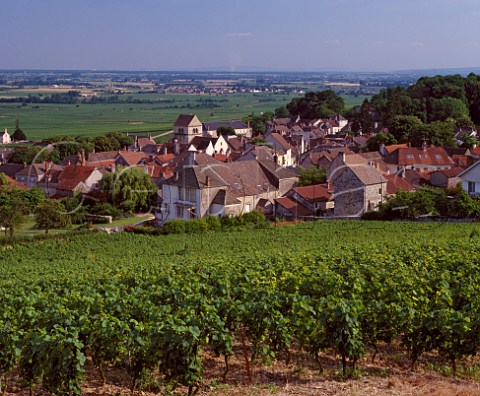 Village of Volnay viewed over the Premier Cru vineyard Clos des Ducs Cte dOr France   Cte de Beaune