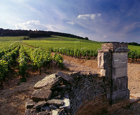 Entrance to Clos des Chnes vineyard Volnay Cte dOr France Cte de Beaune Premier Cru