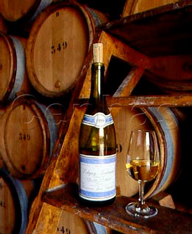 Bottle and glass of white Clos du Cailleret in barrel   chais of Chartron  Trebuchet PulignyMontrachet   Cote dOr France Cote de Beaune Premier Cru