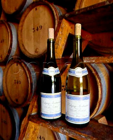 Bottles of red and white Clos du Cailleret in barrel chais of Chartron  Trebuchet PulignyMontrachet  Cte dOr France Cte de Beaune