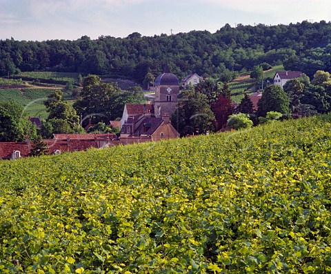 Village and church of ChambolleMusigny viewed over Les Cras vineyard Cte dOr France  Cte de Nuits