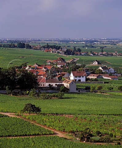 View north over ChambolleMusigny to  MoreyStDenis with Dijon in the distance Between the two villages are the Grand Cru vineyards of Les Bonnes Mares and Clos de Tart Cte dOr France Cte de Nuits