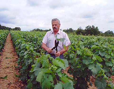 Robert JayerGilles hedging his vines in early   summer This vineyard is at Corgoloin on the Cote de   Nuits His cellars are at MagnylesVillers an   Hautes Cotes de Nuits village