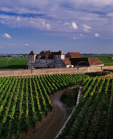 Chteau du Clos de Vougeot in its walled Grand Cru vineyard viewed over the Premier Cru les Petits Vougeots Cte dOr France  Cte de Nuits