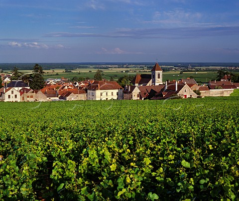 MoreyStDenis and the premises of Mommessin viewed over the Clos de Tart vineyard Cte dOr France Cte de Nuits Grand Cru