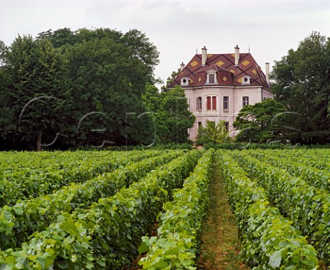 Domaine des Comtes Lafon in Clos de la Barre vineyard Meursault Cte dOr France  Cte de Beaune