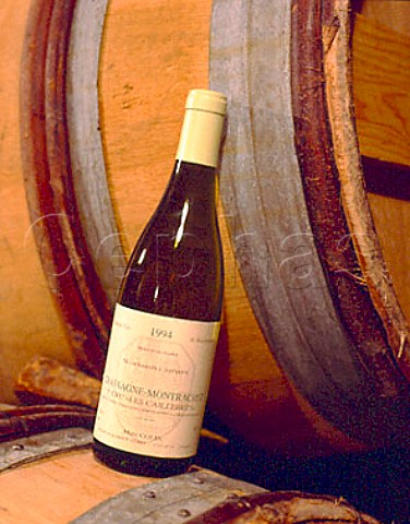 1994 Premier Cru Les Caillerets ChassagneMontrachet   in the cellar of Marc Colin Gamay Cote dOr France