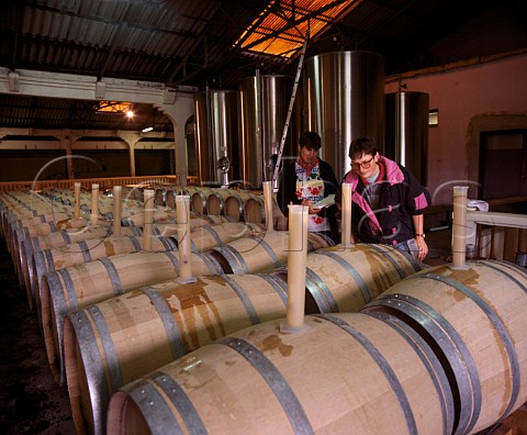 Monitoring specificgravity in barrels of fermenting   Semillon Union de Producteurs de Rauzan Gironde   France   Bordeaux  EntreDeuxMers