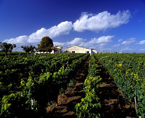 Chteau PetitVillage and its vineyard Pomerol Gironde France  Pomerol  Bordeaux