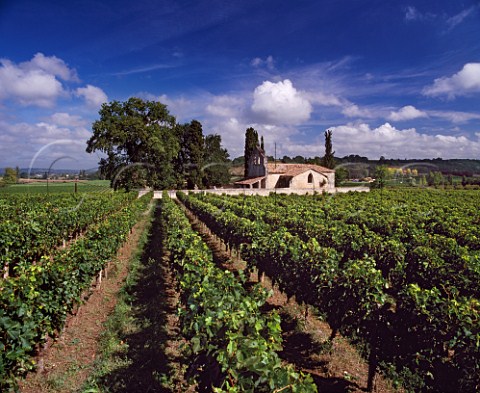 Vineyards around the old church at Bossugan   Gironde France   EntreDeuxMers  Bordeaux